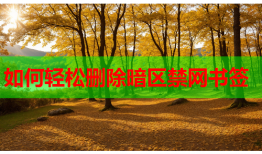 如何轻松删除暗区禁网书签