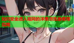 如何安全进入暗网的洋葱浏览器使用指南