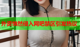 外资悄然侵入网吧禁区引发热议