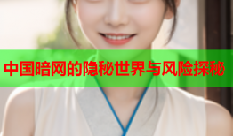 中国暗网的隐秘世界与风险探秘