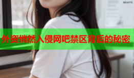 外资悄然入侵网吧禁区背后的秘密