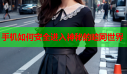 手机如何安全进入神秘的暗网世界