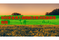 如何安全进入暗网的洋葱浏览器使用指南