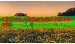如何安全进入暗网的洋葱浏览器使用指南