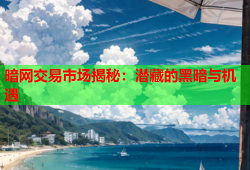 暗网交易市场揭秘：潜藏的黑暗与机遇