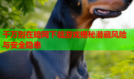 千万别在暗网下载游戏揭秘潜藏风险与安全隐患