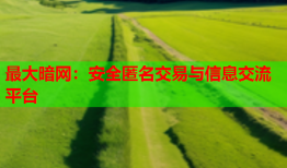 最大暗网：安全匿名交易与信息交流平台