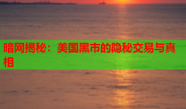 暗网揭秘：美国黑市的隐秘交易与真相
