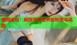 暗网迷局：窥探禁忌世界的秘密与风险