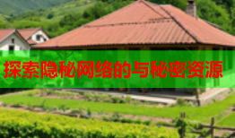探索隐秘网络的与秘密资源