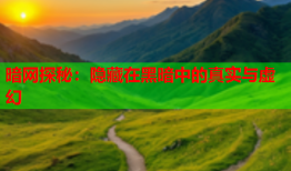 暗网探秘：隐藏在黑暗中的真实与虚幻