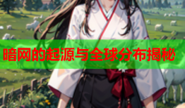 暗网的起源与全球分布揭秘
