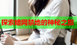 探索暗网禁地的神秘之旅