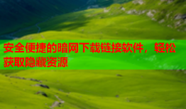 安全便捷的暗网下载链接软件，轻松获取隐藏资源
