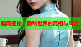 暗网揭秘：隐秘世界的真相与风险