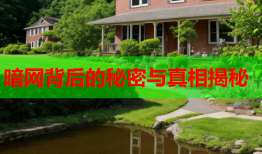 暗网背后的秘密与真相揭秘