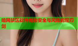 暗网禁区软件揭秘安全与风险的双刃剑