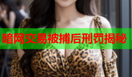 暗网交易被捕后刑罚揭秘
