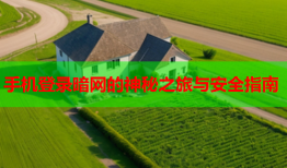 手机登录暗网的神秘之旅与安全指南