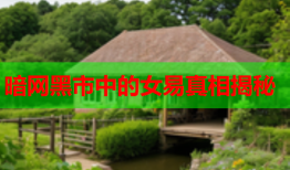 暗网黑市中的女易真相揭秘