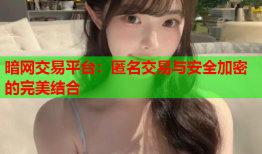 暗网交易平台：匿名交易与安全加密的完美结合
