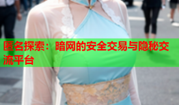 匿名探索：暗网的安全交易与隐秘交流平台