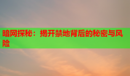 暗网探秘：揭开禁地背后的秘密与风险