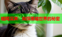 暗网深渊：窥探黑暗世界的秘密
