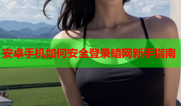 安卓手机如何安全登录暗网新手指南