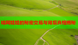 暗网娃娃的秘密交易与背后真相揭秘