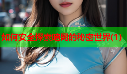 如何安全探索暗网的秘密世界(1)