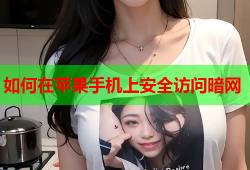 如何在苹果手机上安全访问暗网