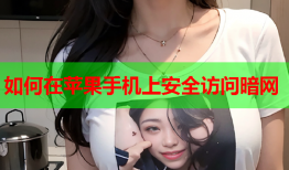 如何在苹果手机上安全访问暗网