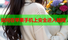 如何在苹果手机上安全进入暗网