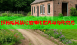 探秘暗网禁地的神秘世界与隐秘交易