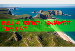 安全上网，隐私保护：暗网禁网软件助你畅游无忧