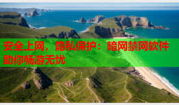 安全上网，隐私保护：暗网禁网软件助你畅游无忧