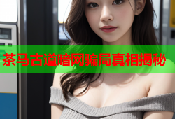 茶马古道暗网骗局真相揭秘