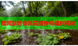 暗网禁地会员兑换神秘福利揭秘