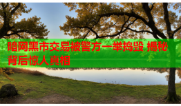 暗网黑市交易被警方一举捣毁 揭秘背后惊人真相