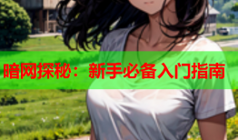 暗网探秘：新手必备入门指南