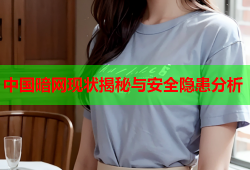 中国暗网现状揭秘与安全隐患分析