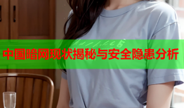 中国暗网现状揭秘与安全隐患分析