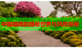 中国暗网的隐秘世界与风险探秘
