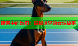 暗网中的她们：隐秘世界的女性故事