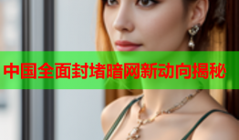 中国全面封堵暗网新动向揭秘