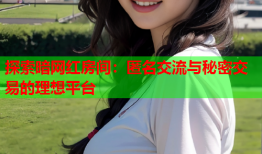 探索暗网红房间：匿名交流与秘密交易的理想平台