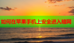 如何在苹果手机上安全进入暗网