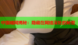 中国暗网揭秘：隐藏在网络深处的秘密