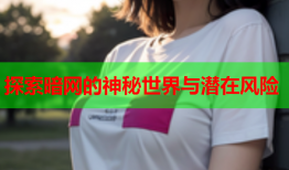 探索暗网的神秘世界与潜在风险